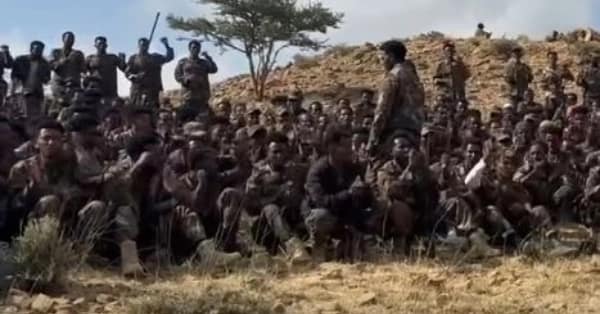 Tigray Peace Force Drones