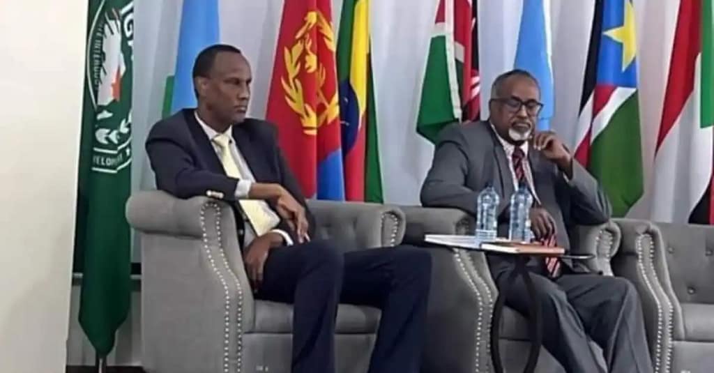 IGAD Official Addis Ababa