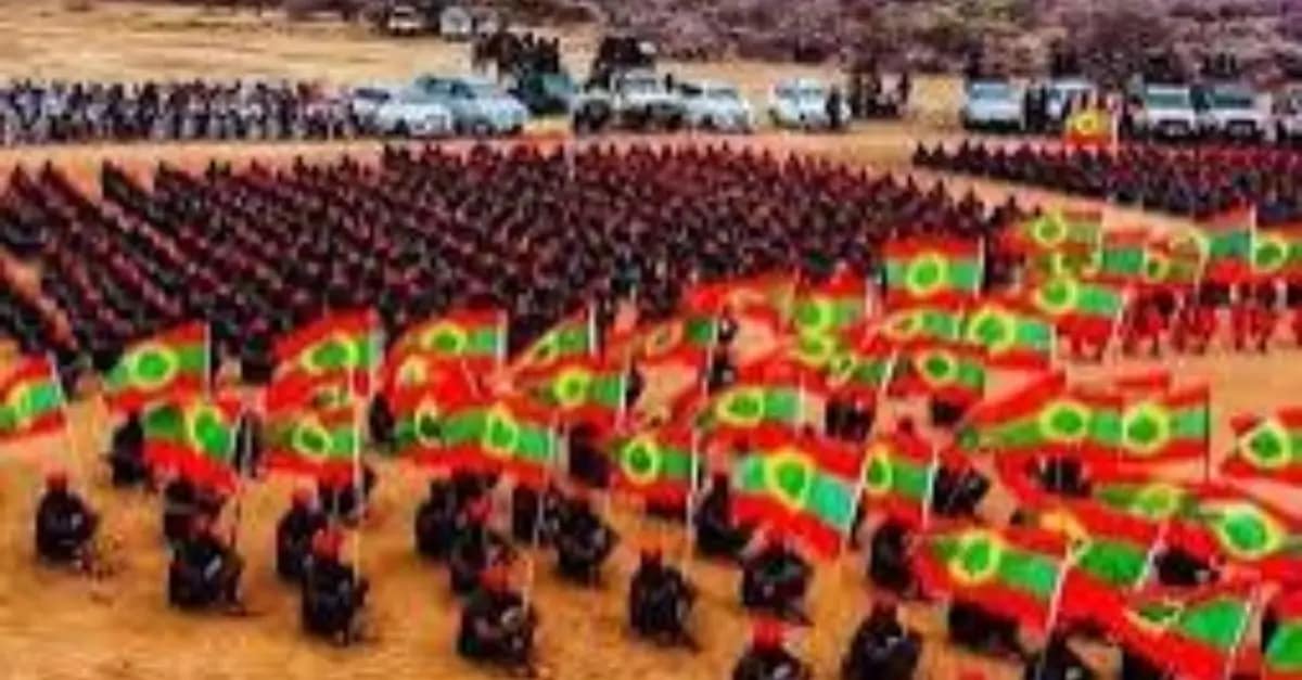 Oromo Liberation Army