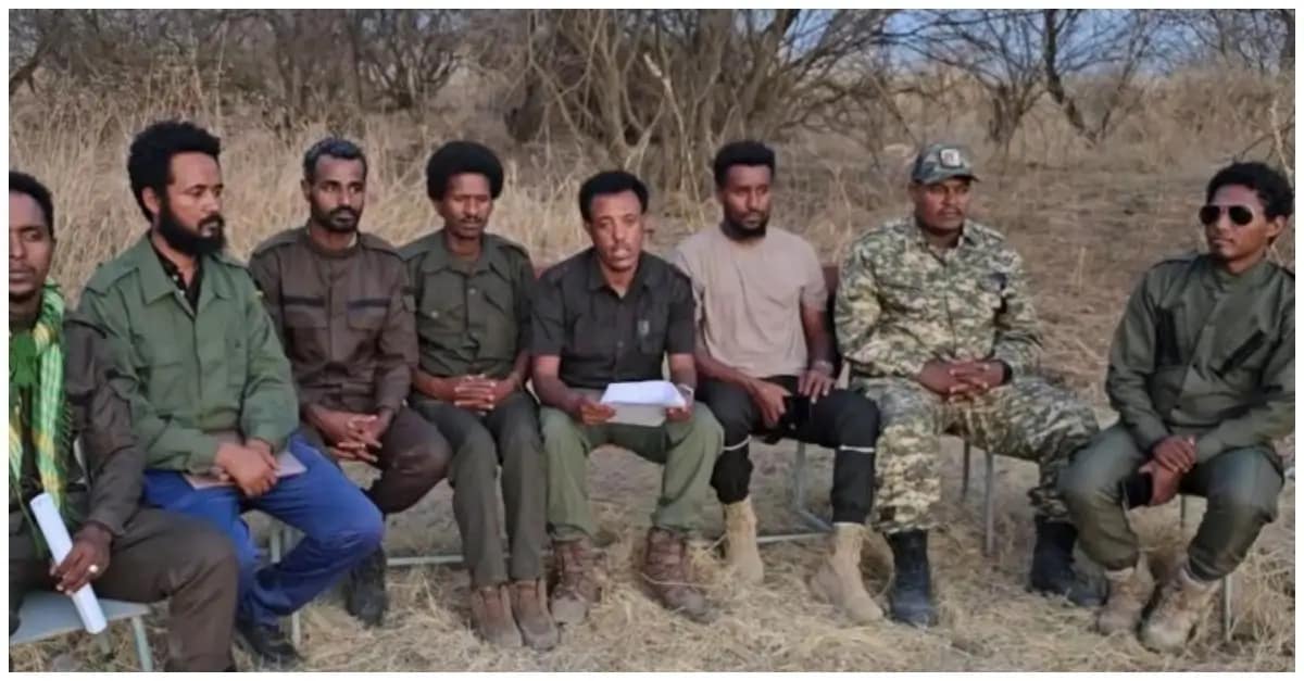 Amhara Fano National Force