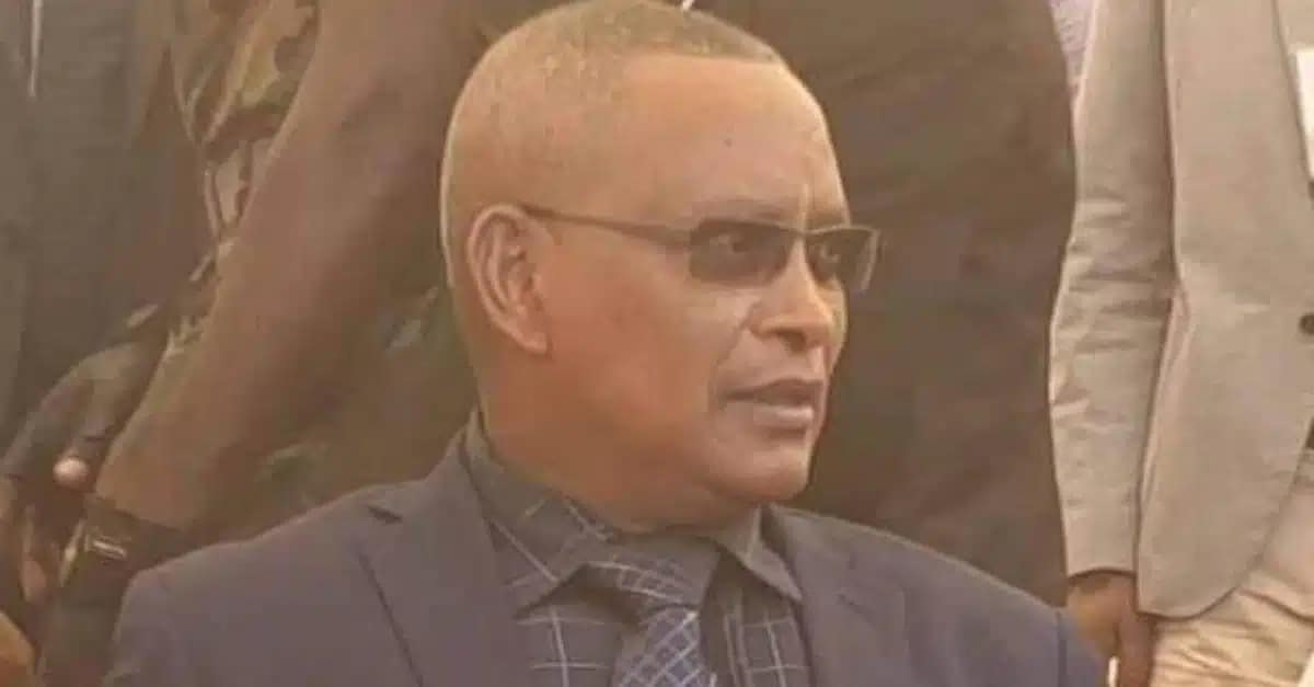 TPLF Debretsion Gebremichael