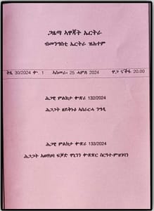 Read more about the article Eritrea Resumes Granting & Renewing Business Licenses