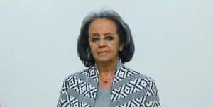 Read more about the article A Tweet by the Ethiopian President Stirs Speculations