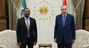 Read more about the article Erdogan Calls PM Abiy Amid Resumption of Ethiopia Somalia Talks