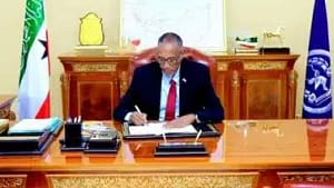 Read more about the article Somaliland President Issues 3 Decrees About General Election