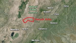 Read more about the article Prisoners Released Amid Start of National Dialogue in Ethiopia