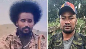 Read more about the article Two Gondar Fano Groups Unite