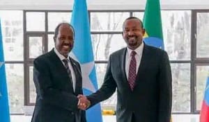 Read more about the article Hassan Sheikh Somalia’s President to Meet With Ethiopian PM