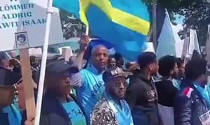 Read more about the article Hundreds of Brigade Nhamedu Eritreans March in Sweden