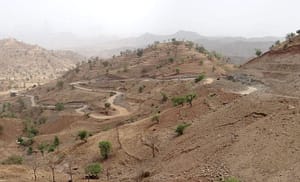 Read more about the article Wolkayit Tegede Mayor Responds to Protests in Tigray