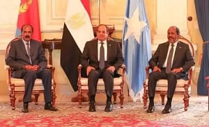 Read more about the article Eritrea & Egypt Vow to Strengthen the Armed Forces of Somalia