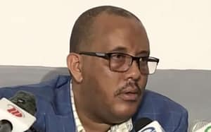 Read more about the article Getachew Reda Writes A Strong Letter to TPLF Chairman