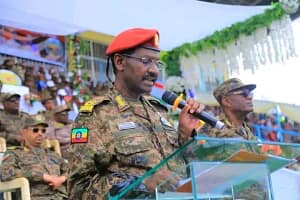 Read more about the article General Birhanu Jula Accuses Egypt