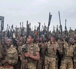 Read more about the article Amhara Fano Militias to Block all Roads in Amhara Today