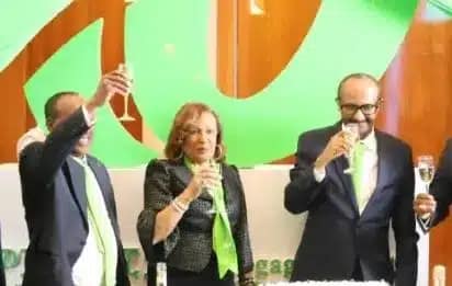 Wegagen Capital Investment Bank