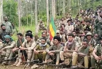 Amhara Fano