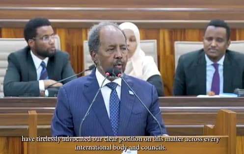 Hassan Sheikh Mohamud