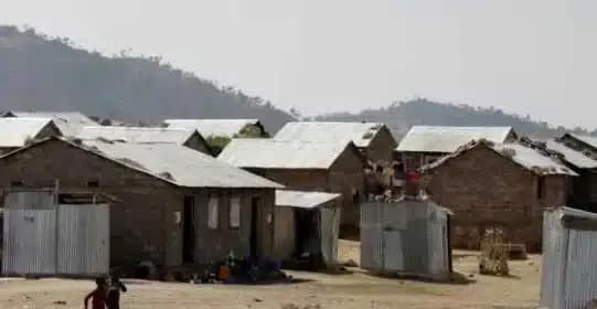 Ethiopian government