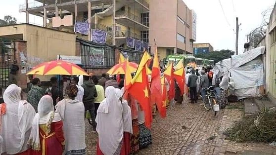 TPLF Protest Mekelle
