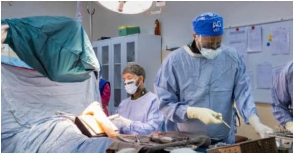 Ethiopian Medical Travel