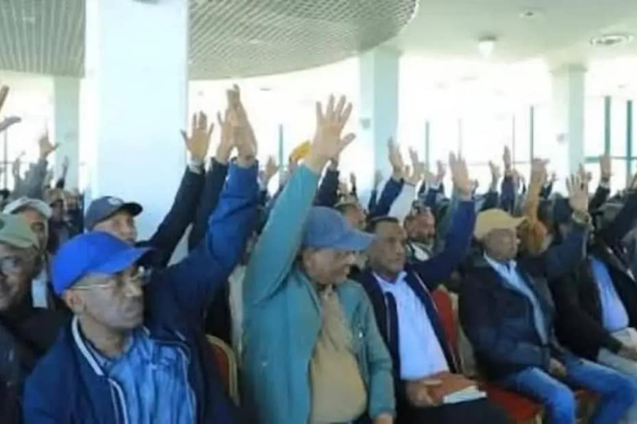 Tigray News