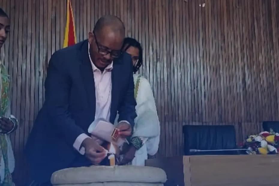 Tigray Advisory Council