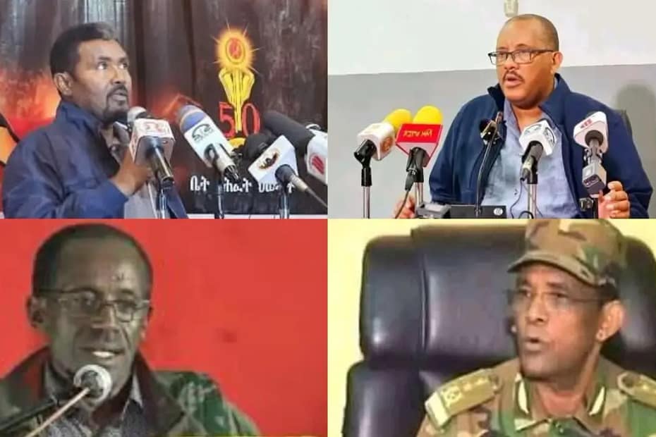 Tigray Interim President Getachew Reda