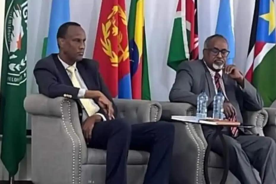 IGAD Official Addis Ababa