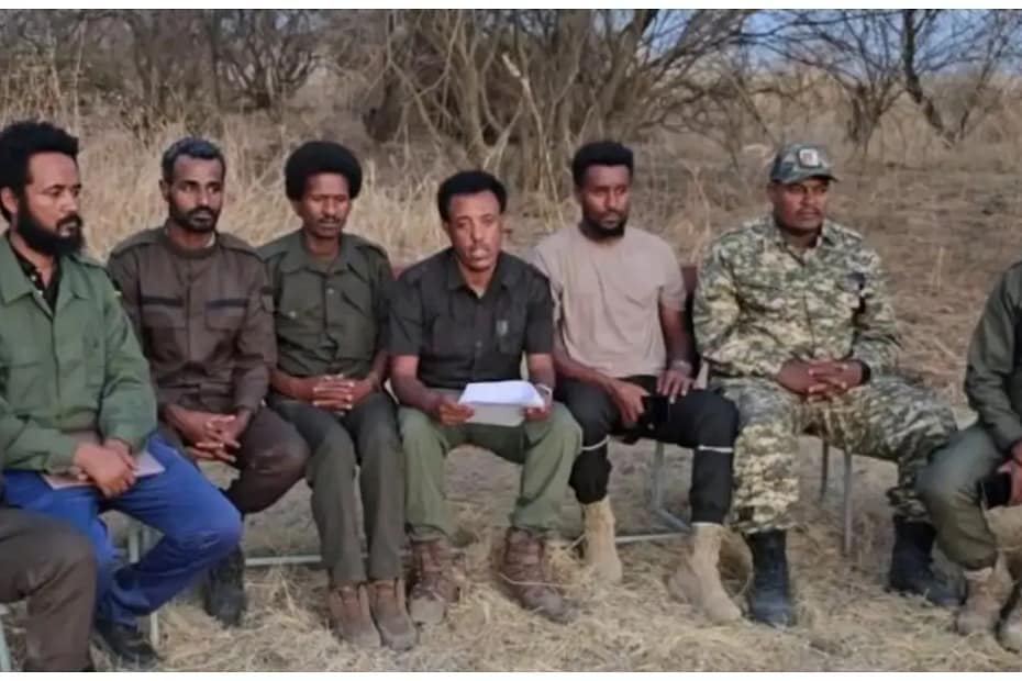 Amhara Fano National Force